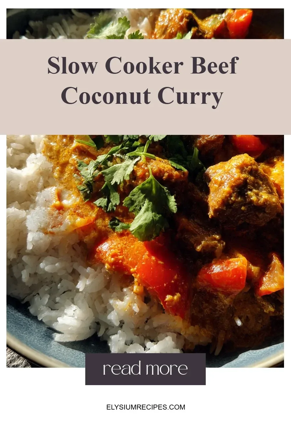 Slow Cooker Beef Coconut Curry